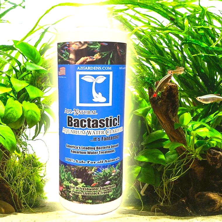 bottled beneficial bacteria aquarium