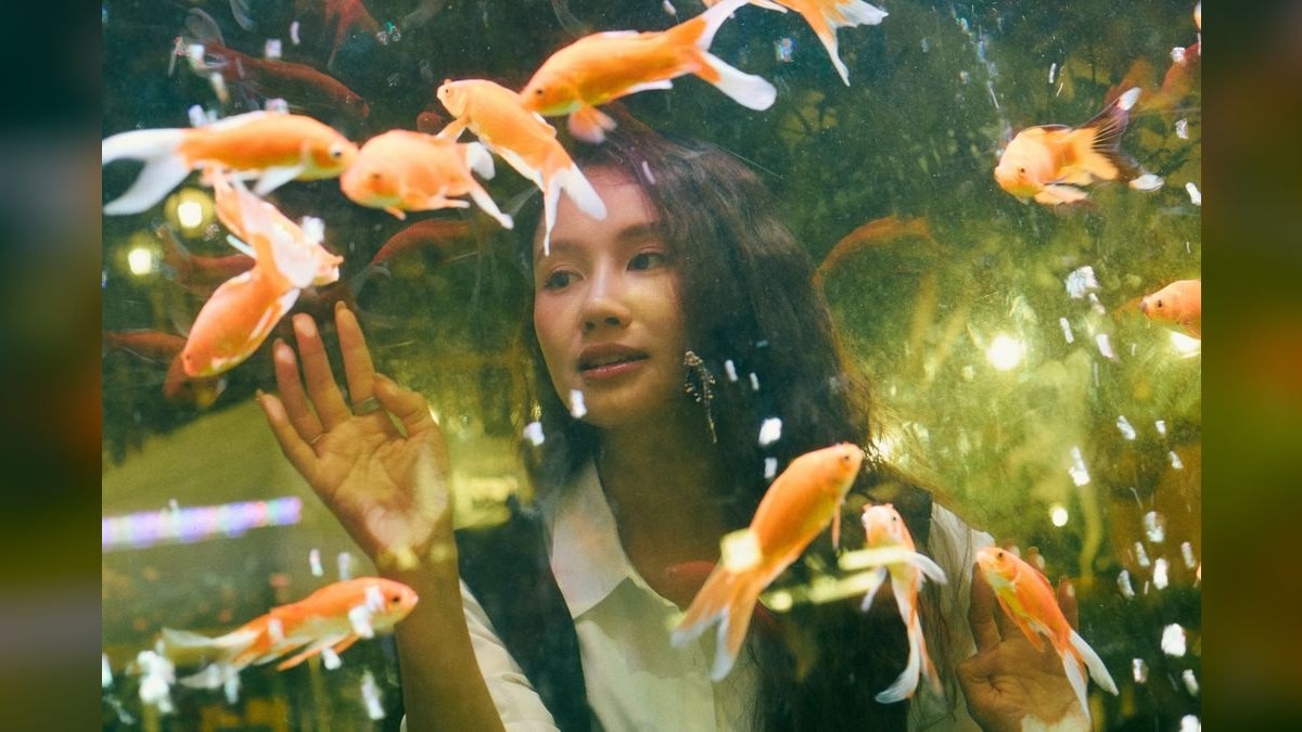 How do you cycle a new aquarium?