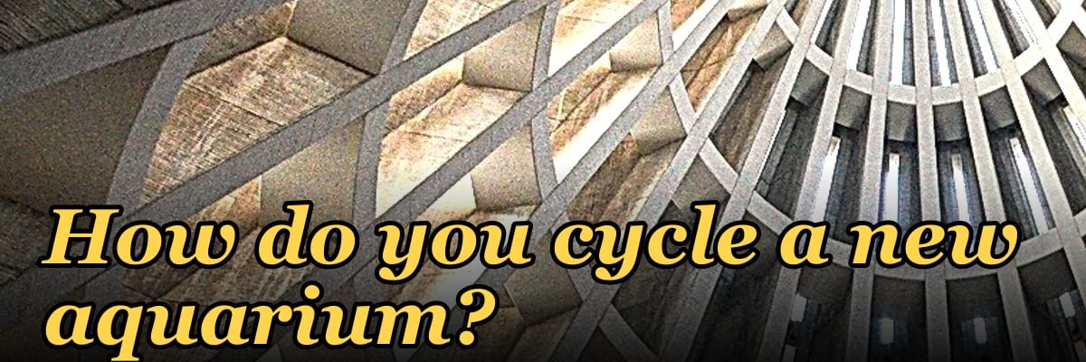 How do you cycle a new aquarium?