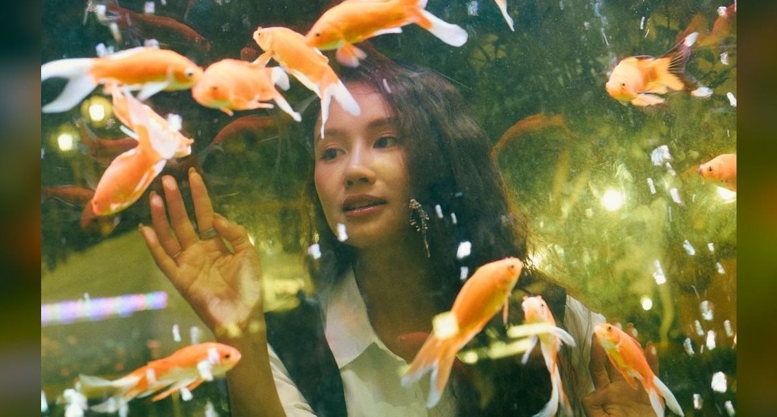 How do you cycle a new aquarium in 2027?
