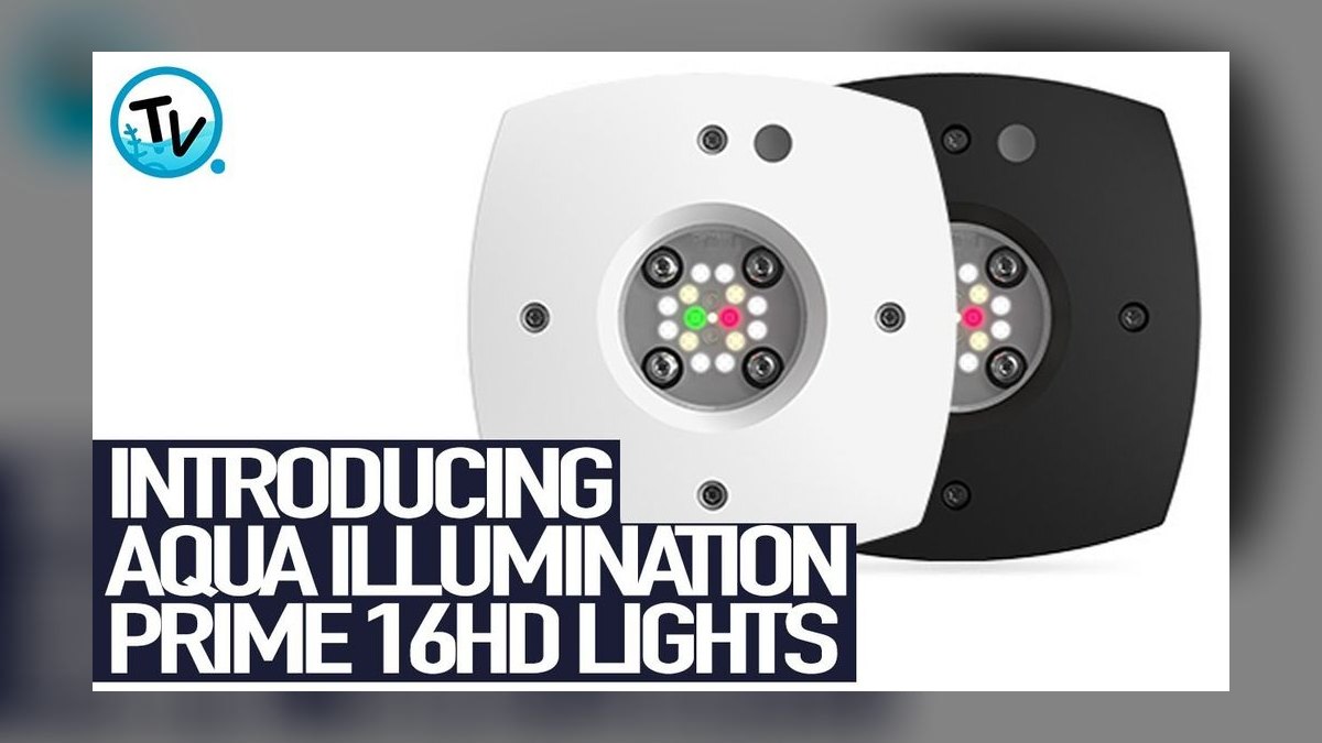 Top 10 LED Lights for Reef Tanks in 2027 — figure 2