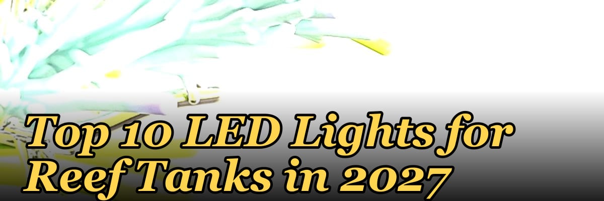 Top 10 LED Lights for Reef Tanks in 2027