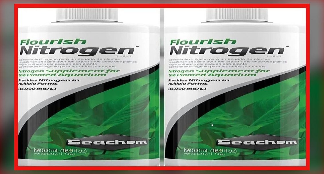 What is the nitrogen cycle in an aquarium?