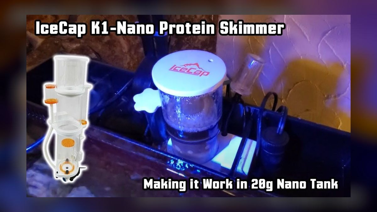 Top 10 Protein Skimmers for Nano Reefs in 2027 — figure 9