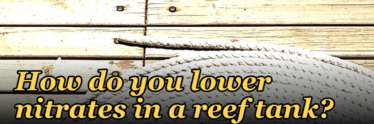 How do you lower nitrates in a reef tank?