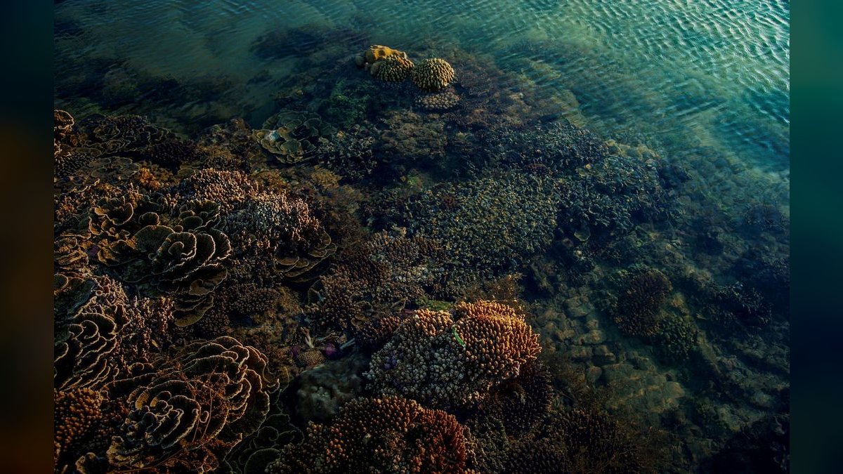 Top 10 RO/DI Systems for Reef Keepers in 2027 — figure 1