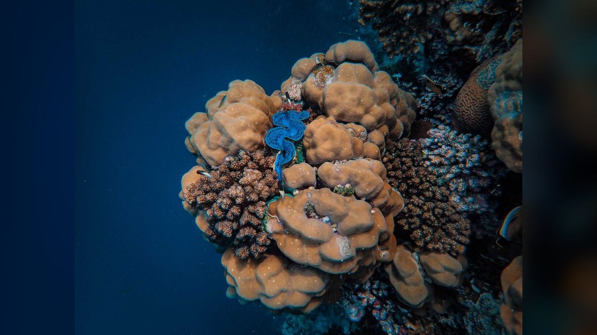 Top 10 RO/DI Systems for Reef Keepers in 2027 — figure 2