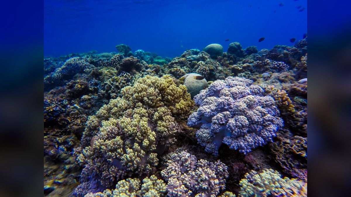 Top 10 RO/DI Systems for Reef Keepers in 2027 — figure 5