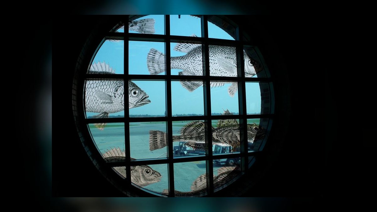 How do you acclimate new fish to an aquarium — figure 3