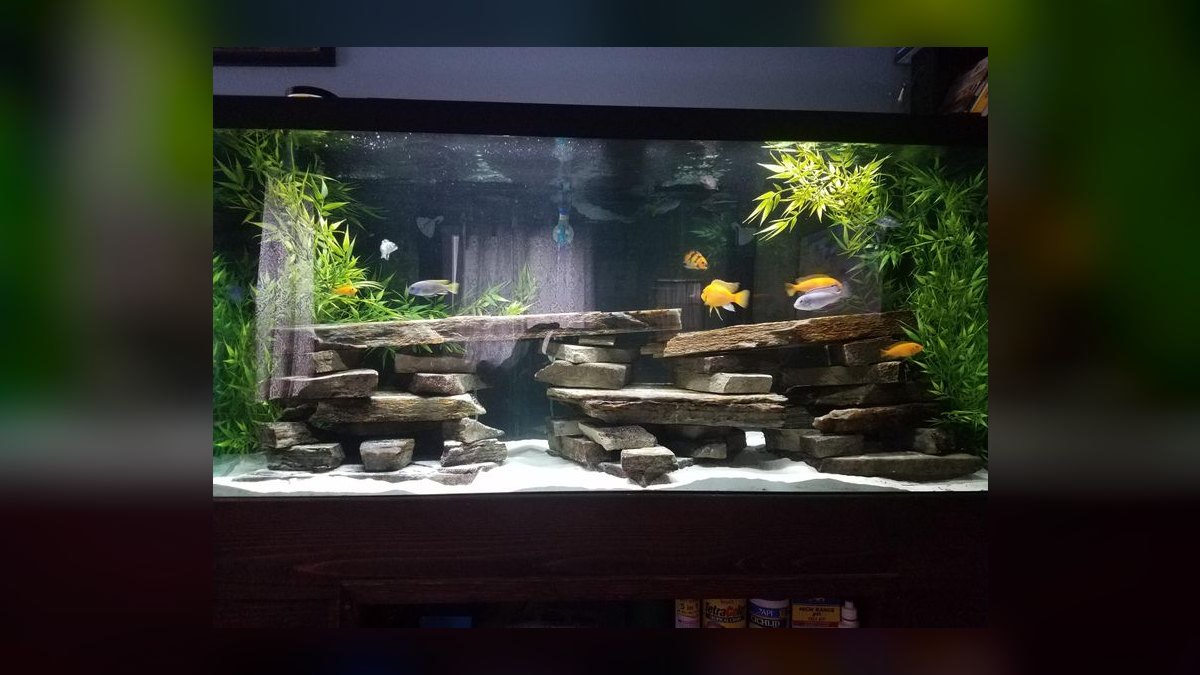 How do you set up a planted aquarium for beginners — figure 8