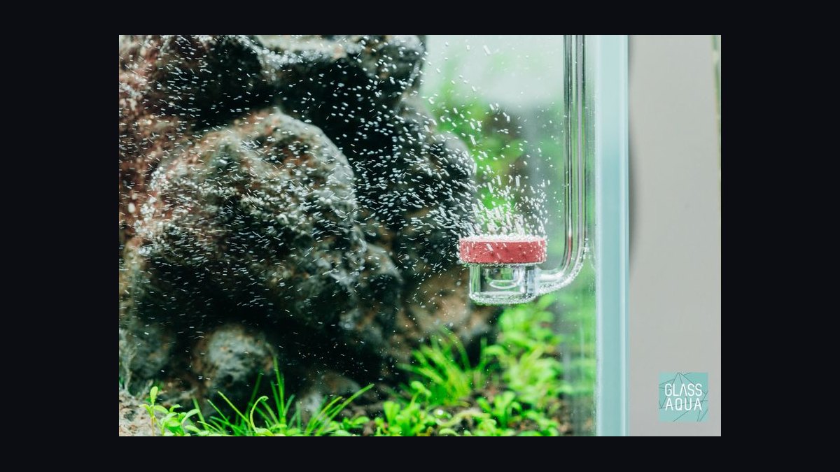 Top 10 CO2 Systems for Planted Aquariums in 2027 — figure 3