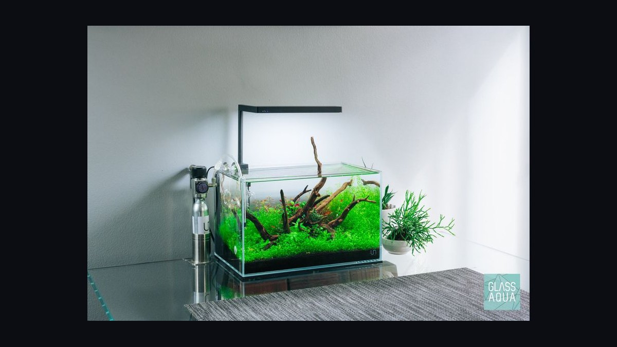 Top 10 CO2 Systems for Planted Aquariums in 2027 — figure 6