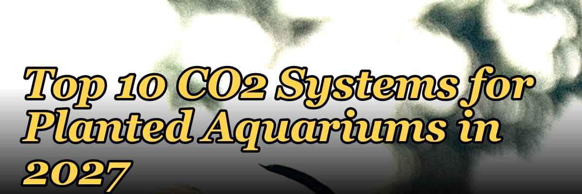 Top 10 CO2 Systems for Planted Aquariums in 2027