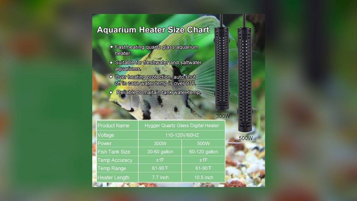 What size aquarium is best for beginners — figure 7