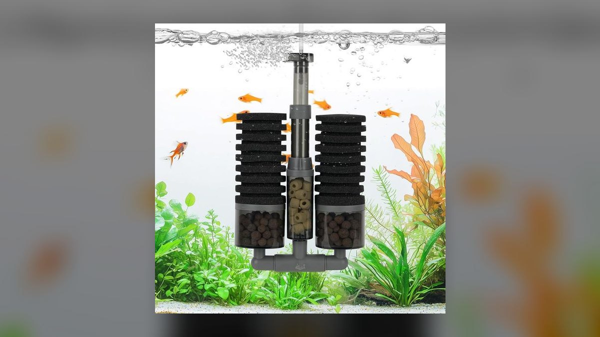 Top 10 Sponge Filters for Shrimp Tanks in 2027 — figure 1
