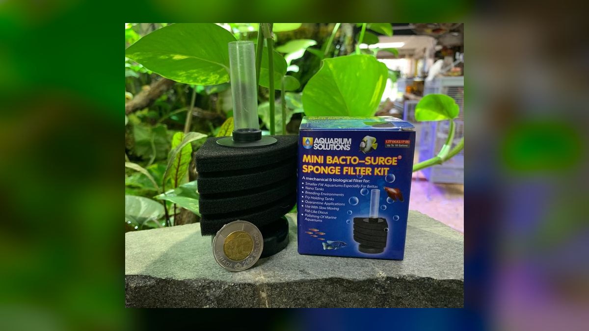 Top 10 Sponge Filters for Shrimp Tanks in 2027 — figure 2