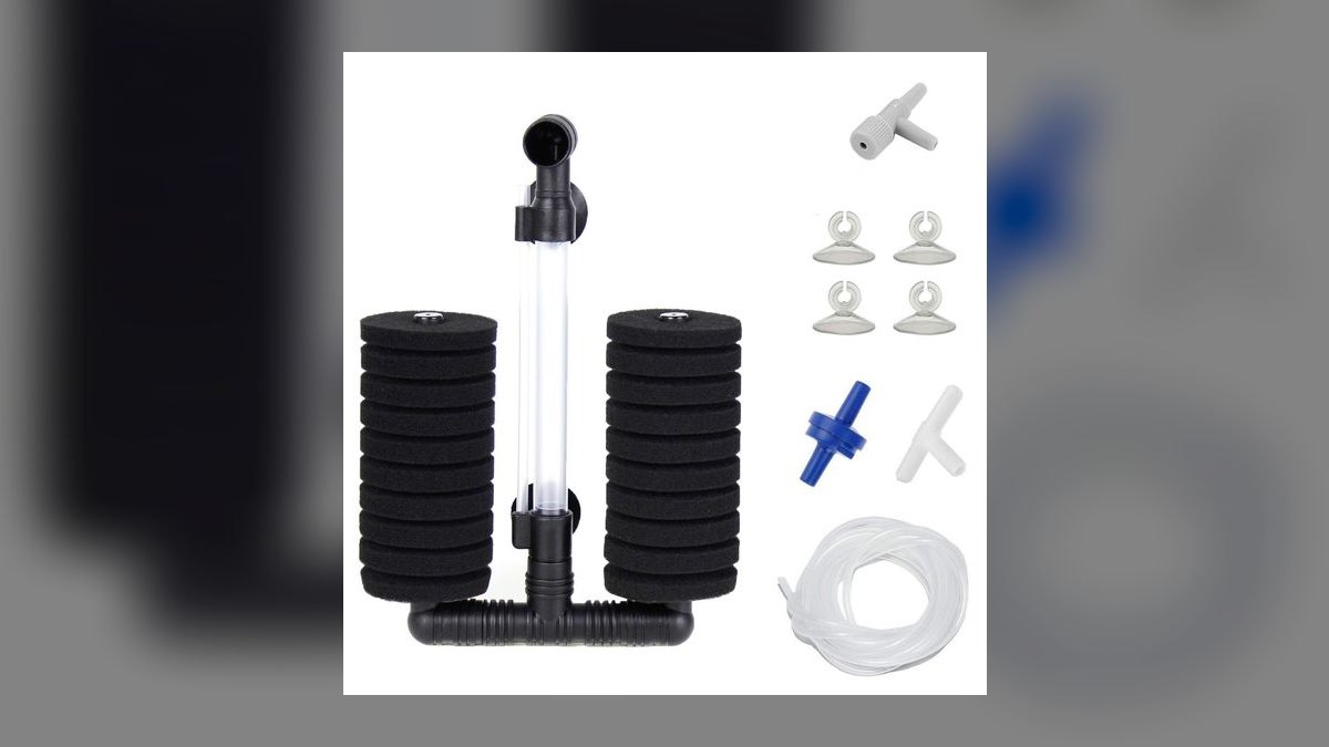 Top 10 Sponge Filters for Shrimp Tanks in 2027 — figure 3
