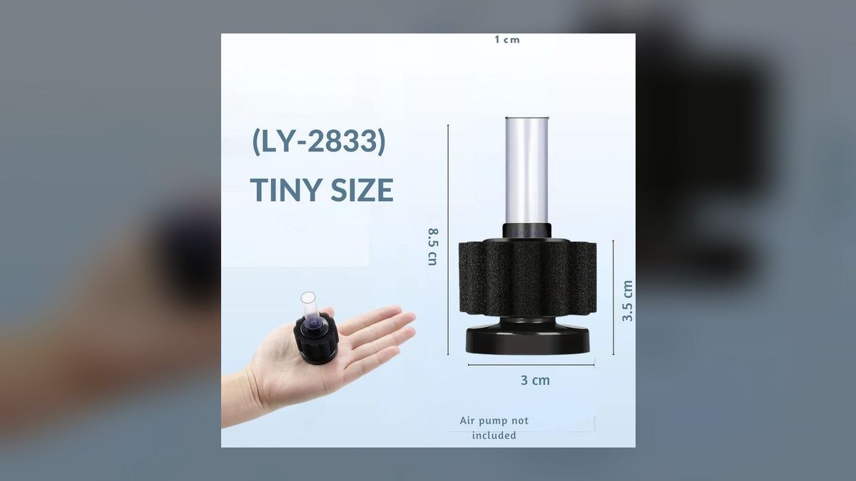 Top 10 Sponge Filters for Shrimp Tanks in 2027 — figure 6
