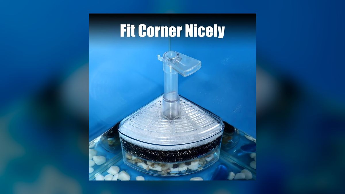 Top 10 Sponge Filters for Shrimp Tanks in 2027 — figure 8