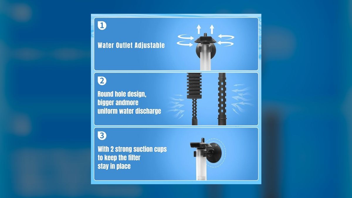 Top 10 Sponge Filters for Shrimp Tanks in 2027 — figure 9