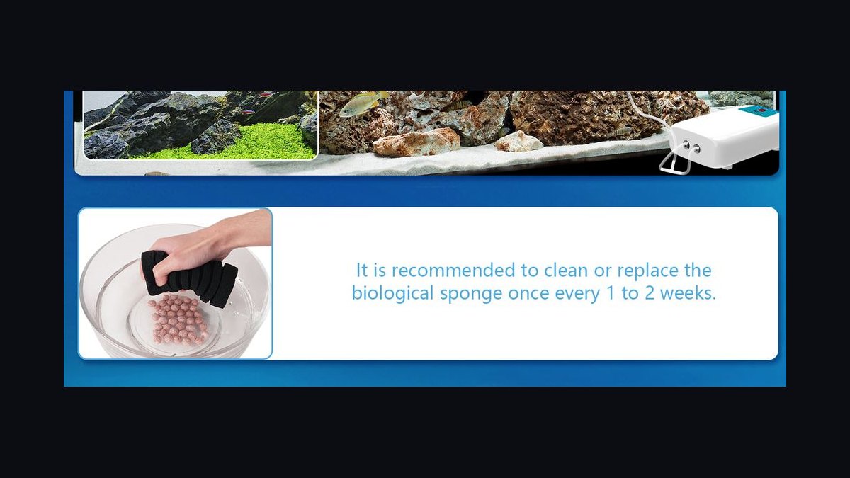 Top 10 Sponge Filters for Shrimp Tanks in 2027