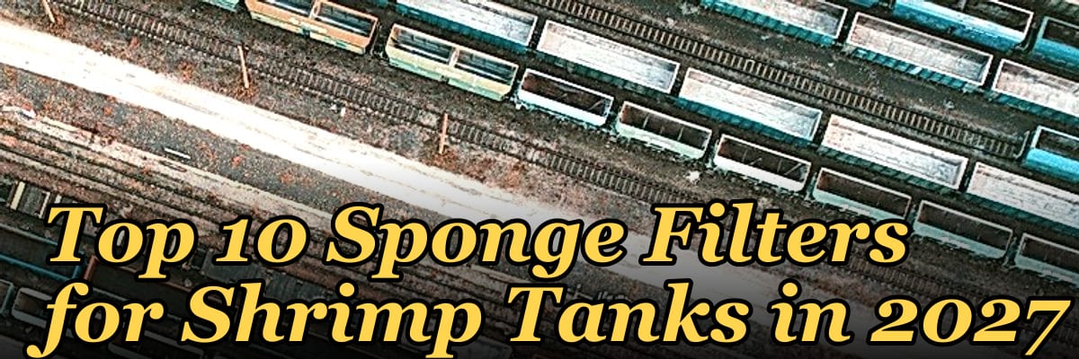 Top 10 Sponge Filters for Shrimp Tanks in 2027