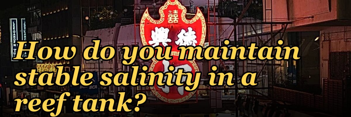 How do you maintain stable salinity in a reef tank?