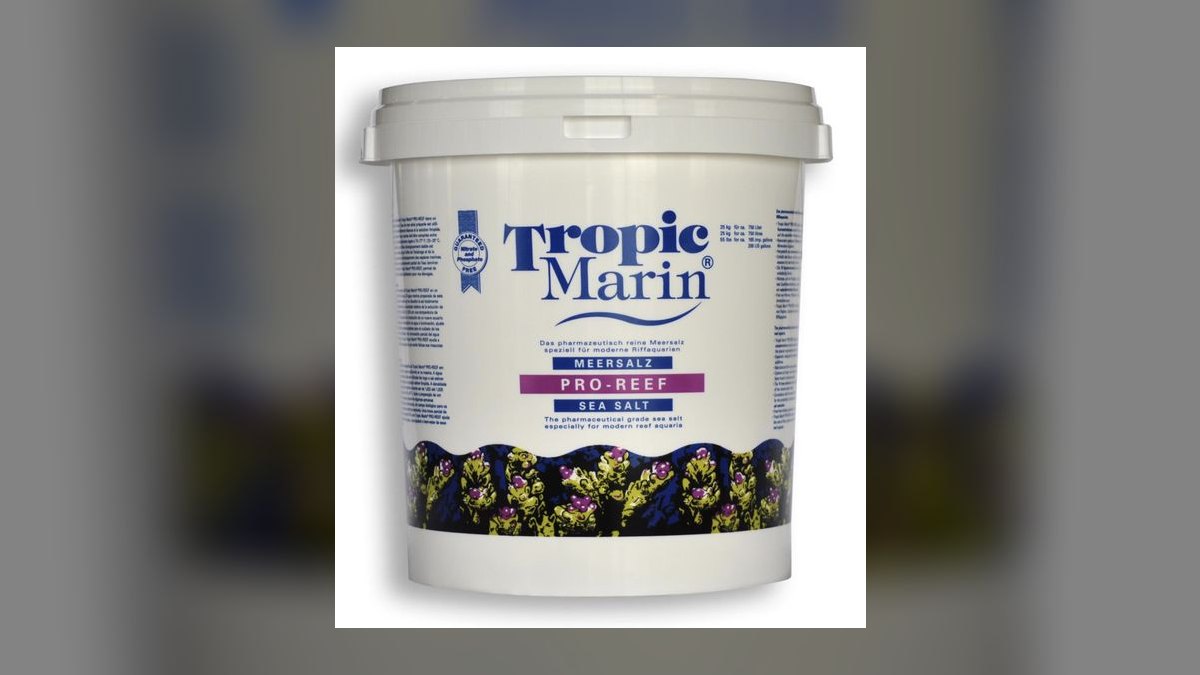 Top 10 Reef Salt Mixes in 2027