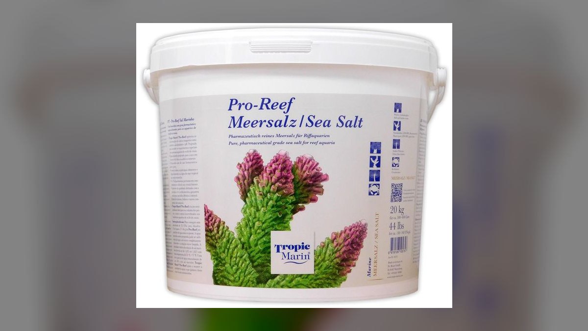 Top 10 Reef Salt Mixes in 2027