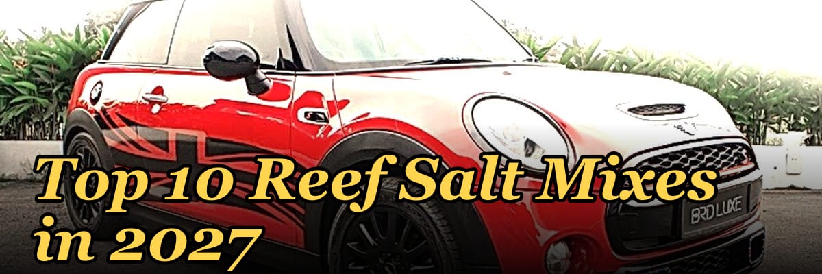 Top 10 Reef Salt Mixes in 2027
