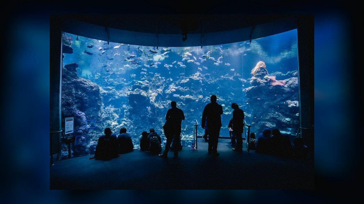 What are GH and KH and why do they matter in aquariums — figure 10