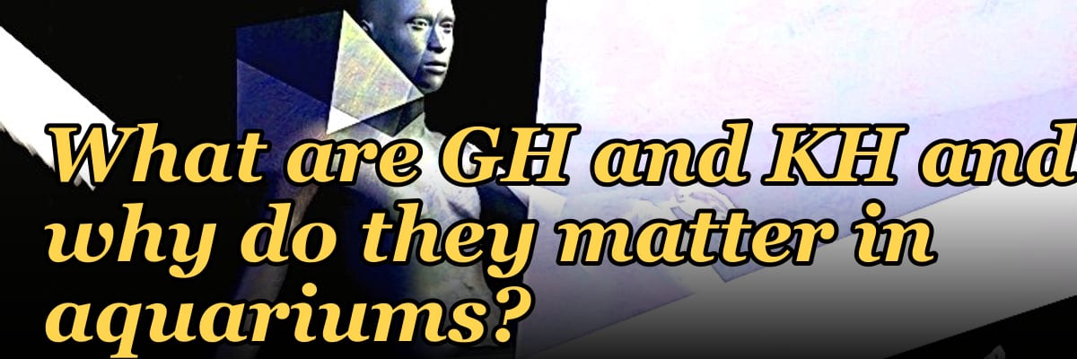 What are GH and KH and why do they matter in aquariums?
