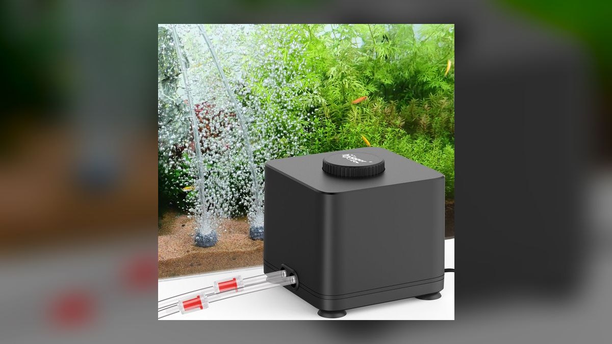 Top 10 Aquarium Air Pumps in 2027 — figure 3