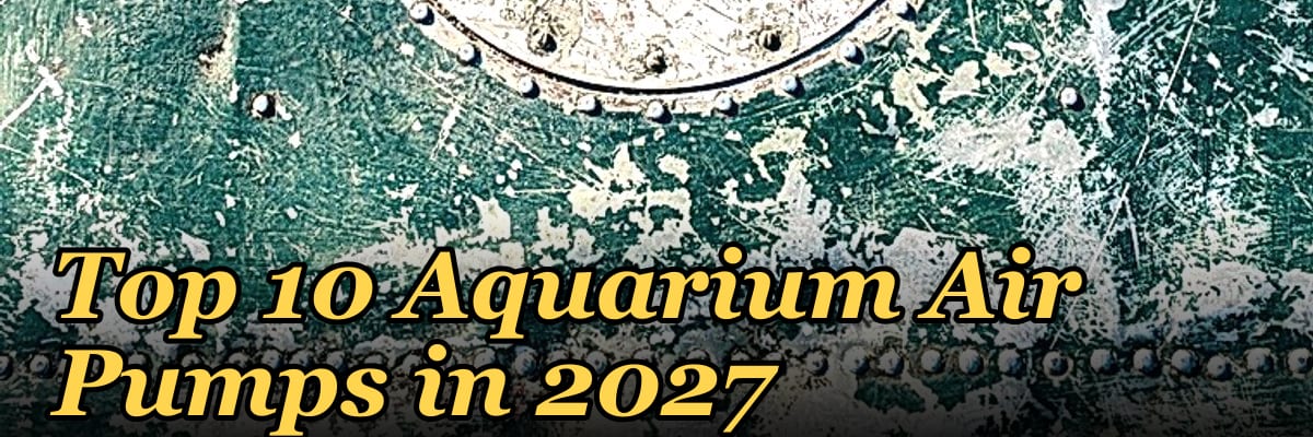 Top 10 Aquarium Air Pumps in 2027