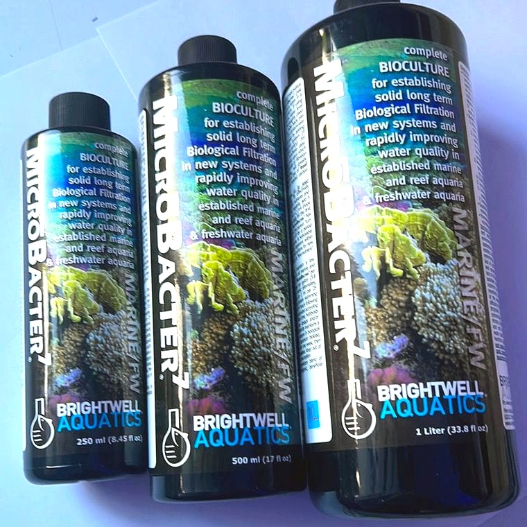 Brightwell Aquatics NeoBermuda Live Sand