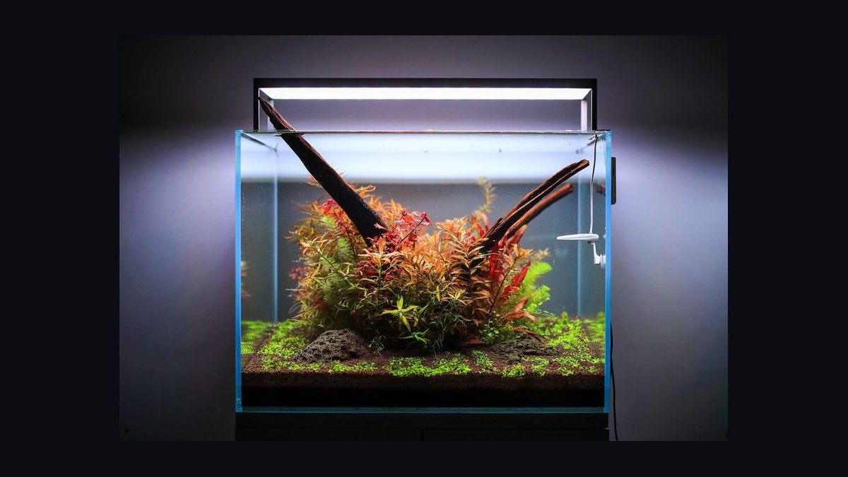 Top 10 Aquarium Plant Grow Lights in 2027 — figure 3