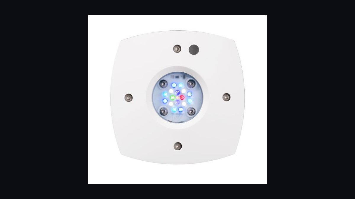 Top 10 Aquarium Plant Grow Lights in 2027 — figure 5