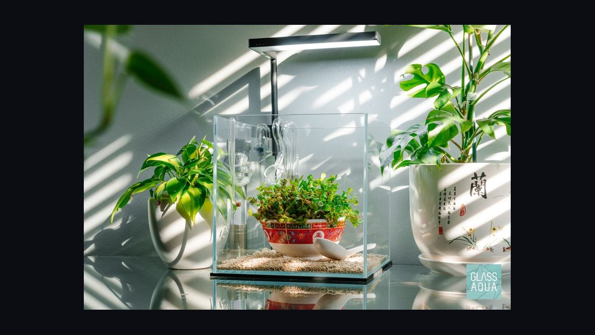 Top 10 Aquarium Plant Grow Lights in 2027 — figure 7
