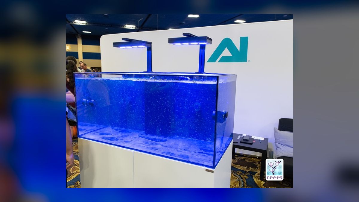 Top 10 Aquarium Wave Pump Brands in 2027 — figure 7