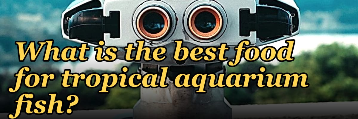 What is the best food for tropical aquarium fish?