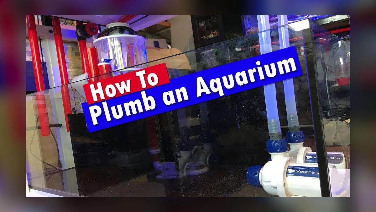 How do you plumb an aquarium sump — figure 1