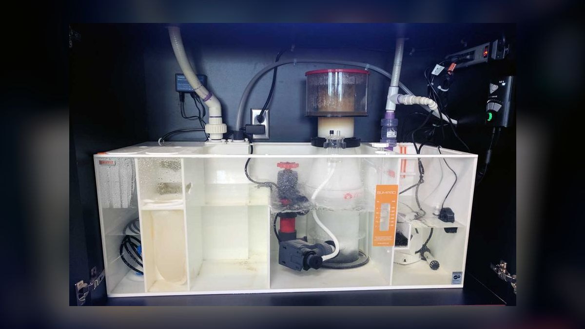 How do you plumb an aquarium sump — figure 4