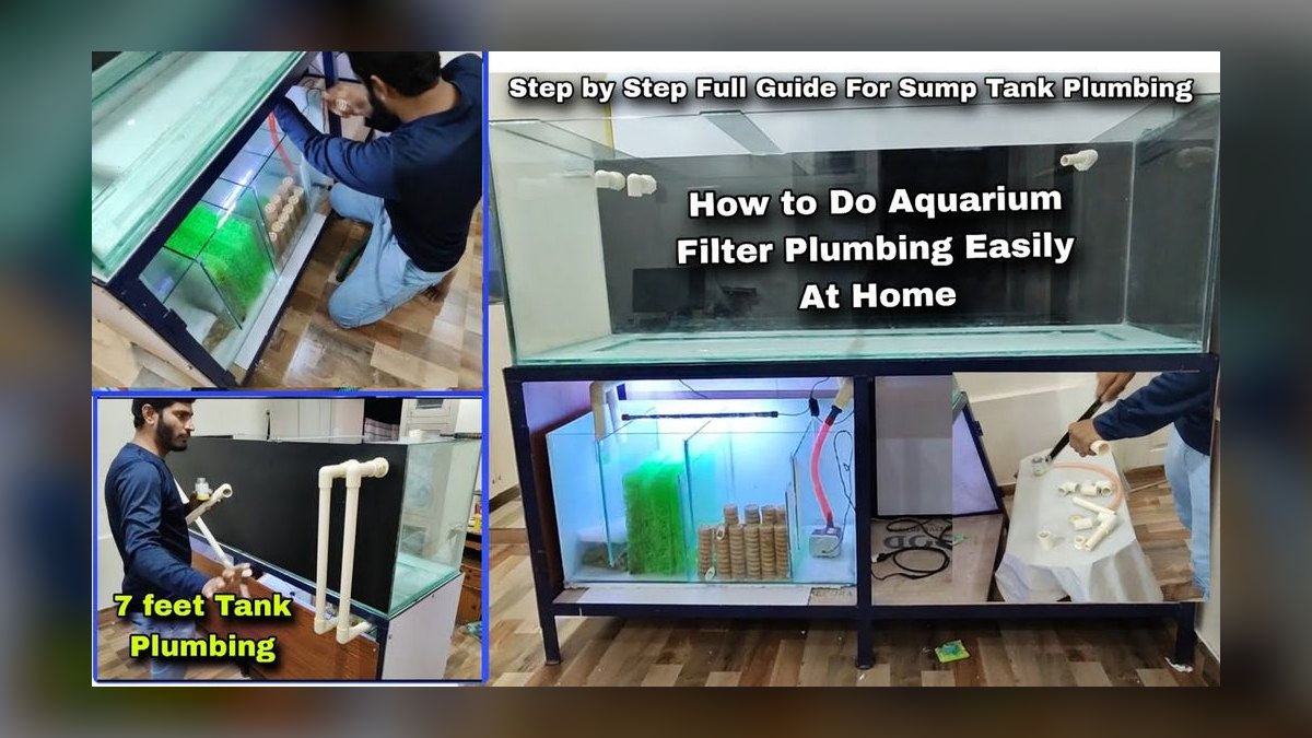 How do you plumb an aquarium sump — figure 5