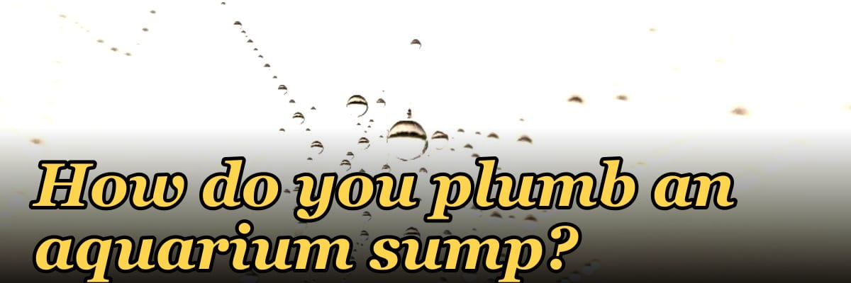 How do you plumb an aquarium sump?