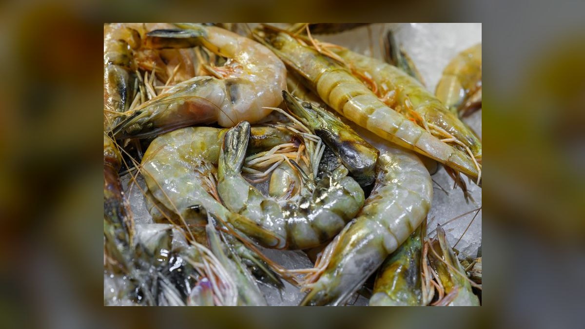 How do you raise water hardness in a shrimp tank — figure 7