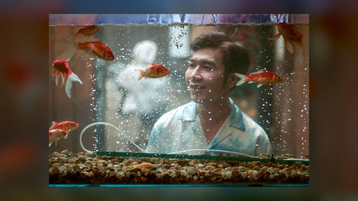 How do you keep a goldfish tank healthy — figure 8