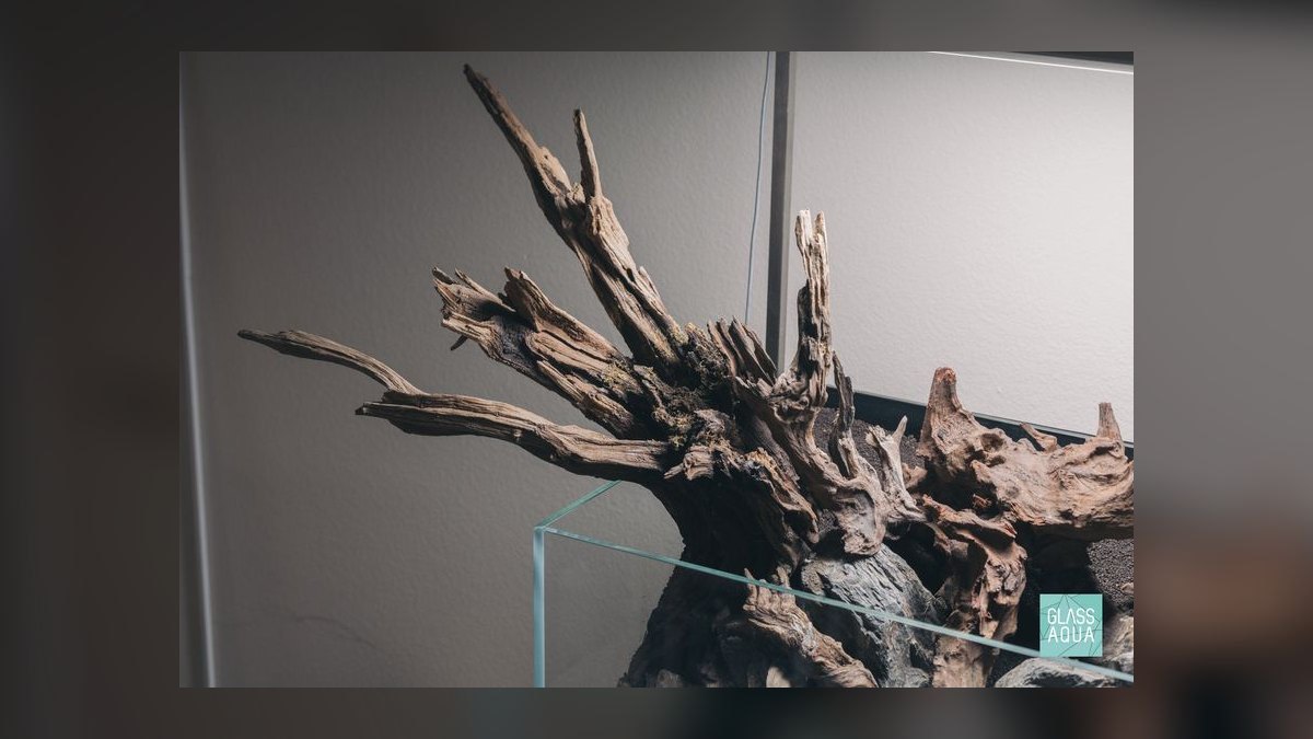 Top 10 Aquarium Driftwood Types for Aquascaping — figure 1