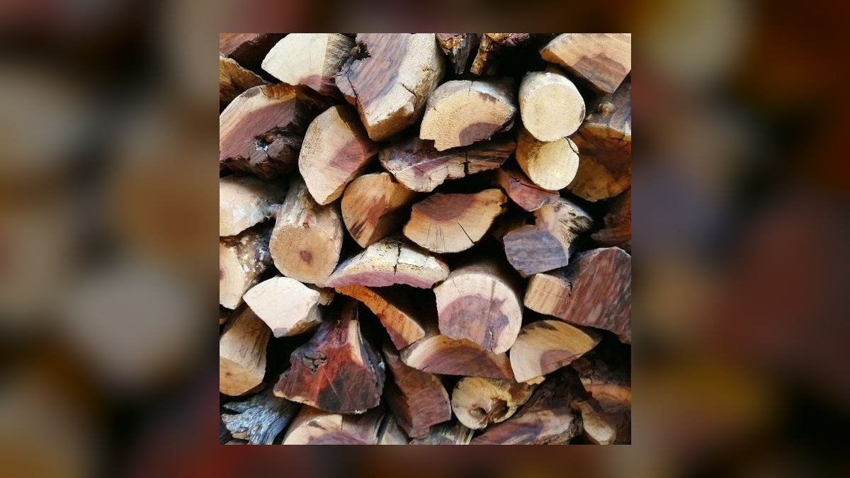 Top 10 Aquarium Driftwood Types for Aquascaping — figure 3