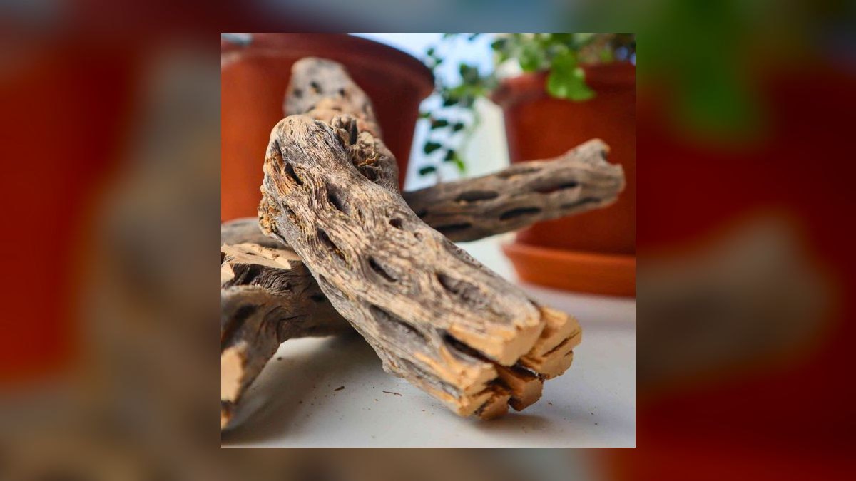 Top 10 Aquarium Driftwood Types for Aquascaping — figure 5