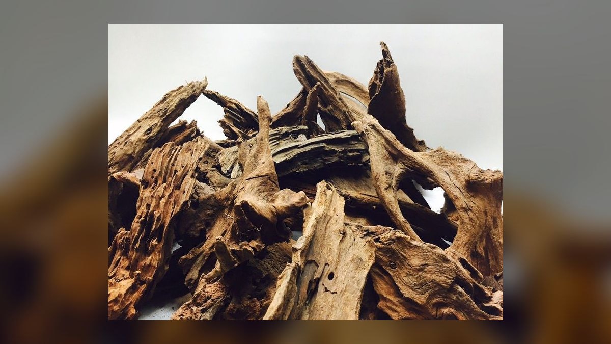 Top 10 Aquarium Driftwood Types for Aquascaping — figure 6